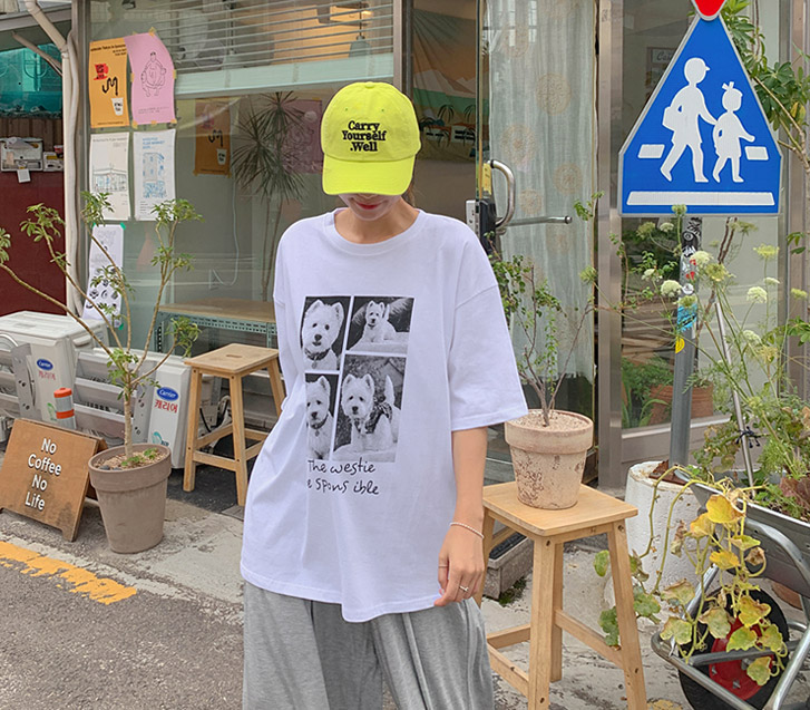 狗四刀